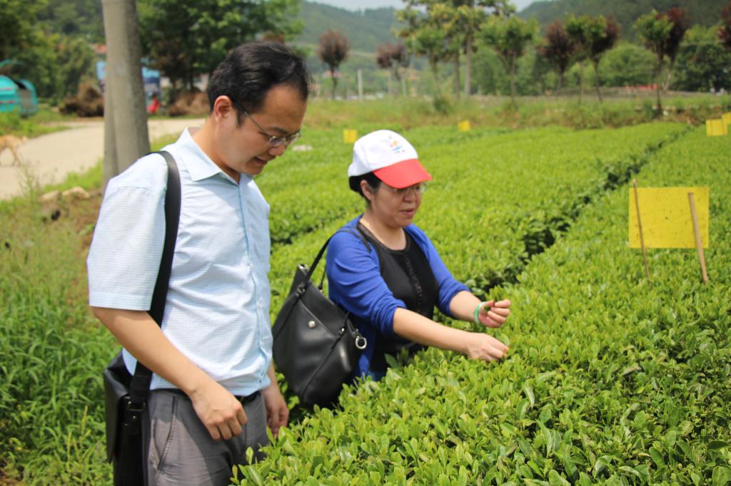 教师进农户，理论下基层——003全讯白菜全体党员教师赴英山县乌云山村学习调研